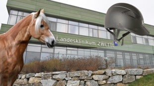 Nach dem Sturz von einem Pferd (Symbolbild) dauerte es lange, bis das Mädchen ins richtige ...