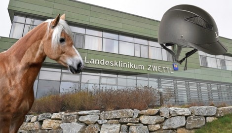 Nach dem Sturz von einem Pferd (Symbolbild) dauerte es lange, bis das Mädchen ins richtige ...