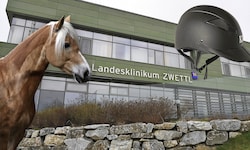 Nach dem Sturz von einem Pferd (Symbolbild) dauerte es lange, bis das Mädchen ins richtige ...