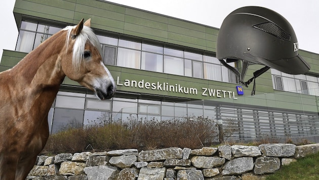 After falling from a horse (symbolic image), it took a long time for the girl to be taken to the ...