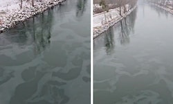 Der Ölfilm bedeckt derzeit den Donaukanal und zieht durch das Stadtgebiet.