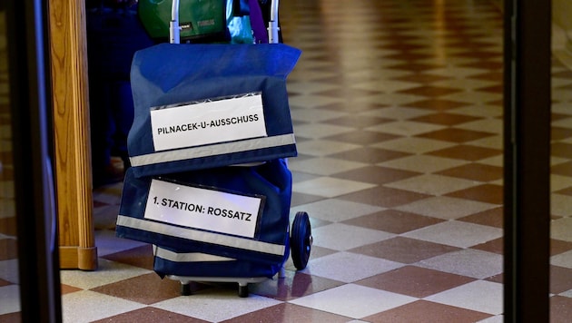 Der Untersuchungsausschuss, welcher sich mit dem Ableben von Sektionschef Christian Pilnacek ...