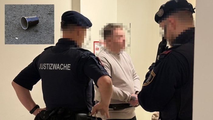 Der Beschuldigte im Wiener Landesgericht.