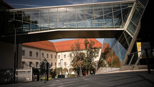 Das Linzer Schlossmuseum bekommt eine Gratis-Archäologie-Schau