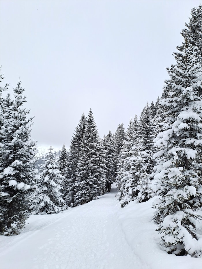 Winterfans kommen voll auf ihre Rechnung.