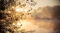 Nebel und Sonne kämpfen um die Vorherrschaft am Himmel (Symbolbild).