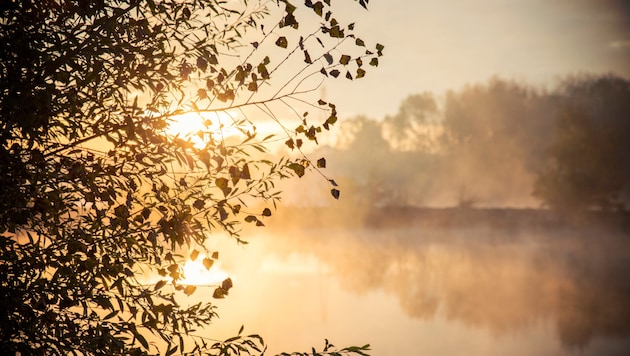 Nebel und Sonne kämpfen um die Vorherrschaft am Himmel (Symbolbild).