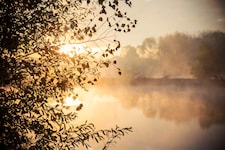 Nebel und Sonne kämpfen um die Vorherrschaft am Himmel (Symbolbild).