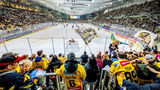 Mehr als 6000 Fans kamen im Schnitt zu den letzten vier Heimspielen der Caps.