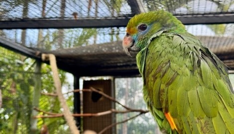 Werden auch Sie Mitglied bei „Team Tierschutz“ und engagieren sich ehrenamtlich im Tierschutz. 