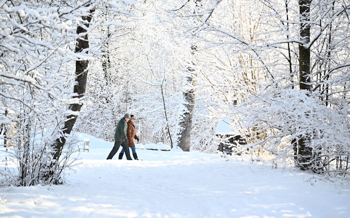 Bei Sonnenschein kann ein Winterspaziergang tatsächlich etwas herrliches für Geist und Körper ...