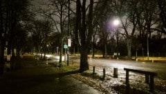 Die Prater Hauptallee in Wien ist einer jener Orte, die nachts gerne gemieden werden.