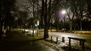 Die Prater Hauptallee in Wien ist einer jener Orte, die nachts gerne gemieden werden.