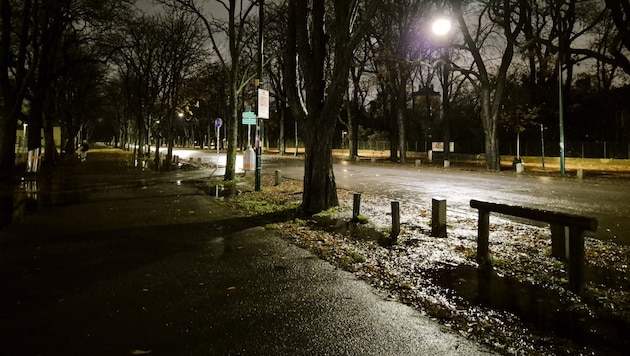 Die Prater Hauptallee in Wien ist einer jener Orte, die nachts gerne gemieden werden.
