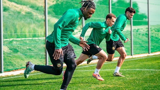 Der Kameruner Martin Ndzie ist in Benidorm in Rapids Vorbereitung eingestiegen, soll bald ...