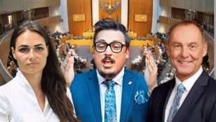 Wie haben sich Barbara Neßler (Grüne), Christoph Steiner und Peter Wurm (v.l., beide FPÖ) im ...