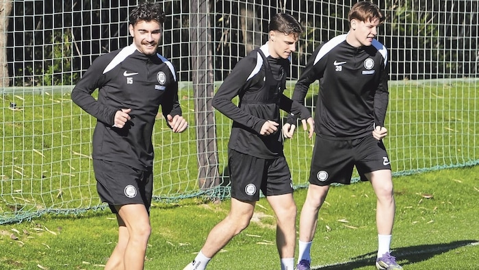 Für Geburtstagskind Gizo Mamageischwili (li.) gab es im Bus ein Ständchen.