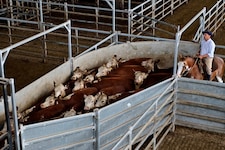 Kontrollen haben offenbar versagt.