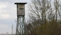 Der Jäger hatte von einem Hochstand aus geschossen (Symbolbild). 