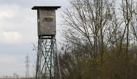 Der Jäger hatte von einem Hochstand aus geschossen (Symbolbild). 