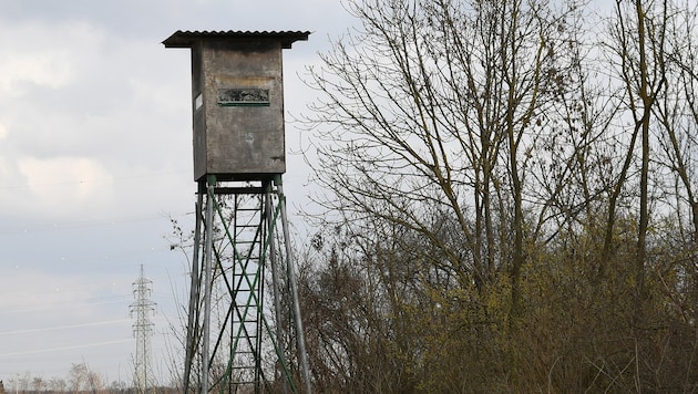 The hunter had fired from a raised hide (symbolic image).