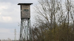 Der Jäger hatte von einem Hochstand aus geschossen (Symbolbild). 