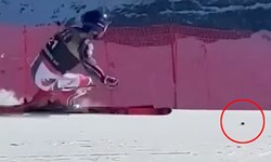 Eine Maus näherte sich Maxence Muzaton bei dessen Trainingsfahrt in Wengen.