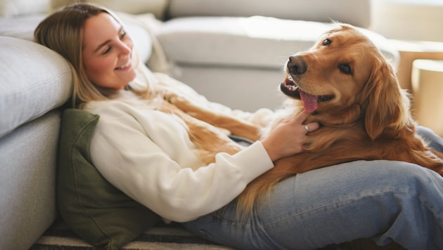 In einer amerikanischen Studie gaben von etwa 5000 befragten Haustierbesitzern 97 Prozent an, ...