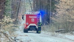 100 freiwillige Helfer waren im Einsatz.