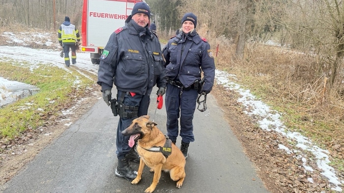Diensthunde der Polizei helfen bei der Suche mit.