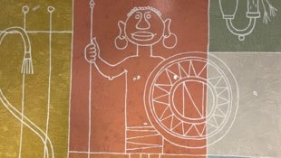 Dieses Bild sorgt aktuell in Kärnten für Gesprächsstoff.