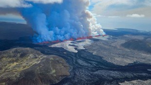 Der künftige US-Botschafter auf Island hat gewitzelt, dass die Insel (Bild) der 52. ...