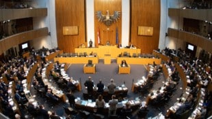 Am Mittwoch, 21. Jänner, wird der Nationalrat für seine erste Sitzung in diesem Jahr ...