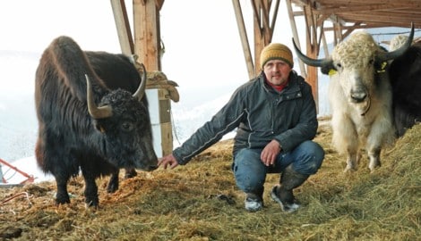 „Wutbauer“ Christian Bachler hat eine klare Meinung zu Mercosur und Co. 