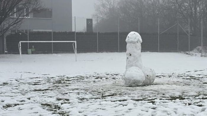 Am Sportplatz des Jugendzentrums Plateau wurde der Phallus entdeckt.