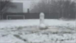 Für den Erstanblick geblurrt – wer es genauer wissen will, findet das Bild in der Story. Einfach ...