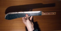 Der Tschetschene soll eine Machete als „Argumentationshilfe“ mitgeführt haben. (Symbolbild)
