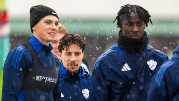 Dominik Prokop (M.) war zuletzt nicht mehr erste Wahl bei Hartberg. Nun wechselt der Wiener zu ...