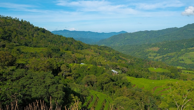 Beim Landeanflug auf die Stadt Makassar auf der Insel Sulawesi brach der Kontakt zum Flugzeug ...