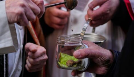 Egal, ob Schnecke oder Igel: Bei dem Fest zu Ehren des Schutzheiligen der Tiere, San Antón, sind ...