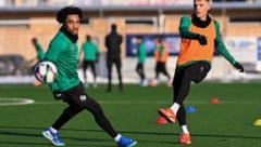 Quincy Butler (l.) fällt für längere Zeit aus.