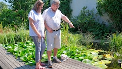 Karin und Wolfgang Knoll im Sommer 2025 bei ihrem Schwimmteich in Pasching – damals lautete das ...