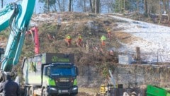 Am Montag wurden die verbliebenen Bäume am Hang oberhalb der Linzer Waldeggspinne abgeholzt. ...