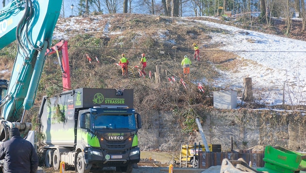 Am Montag wurden die verbliebenen Bäume am Hang oberhalb der Linzer Waldeggspinne abgeholzt. ...