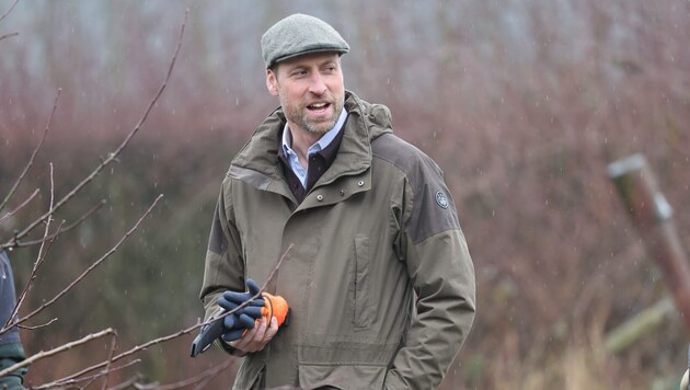 Prinz William dieser Tage beim Besuch einer Farm in Herefordshire. Jetzt wurde bekannt, dass er ...