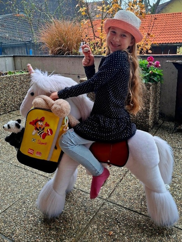 Sumsi begleitet Nina Mayr nun überall hin.