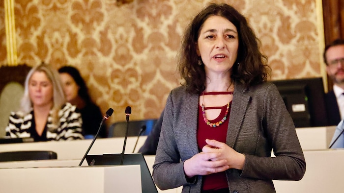 Die grüne Klubobfrau Sandra Krautwaschl: „Morde sind nur die Spitze des Eisbergs“