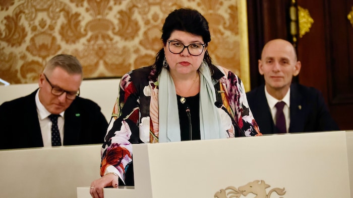 Helga Ahrer (SPÖ): „Nur als Randthema behnadelt“.