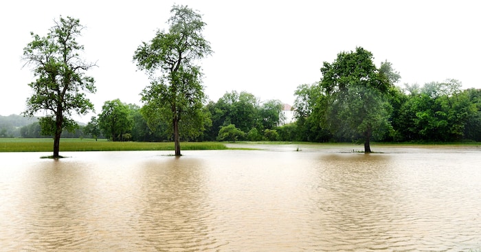 Klimakatastrophen wie Hochwasser treffen immer häufiger die heimische (Land)Wirtschaft.