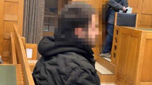 Der 27 Jahre alte Syrer gab die ihm zur Last gelegten Taten zu.